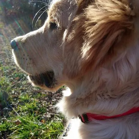 L'isola Dla Cerrea 4* Mombasiglio