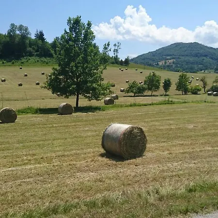 L'isola Dla Cerrea * Mombasiglio
