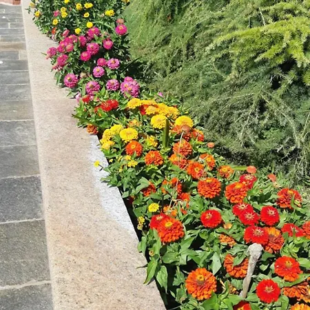 Alojamento de Acomodação e Pequeno-almoço L'isola Dla Cerrea