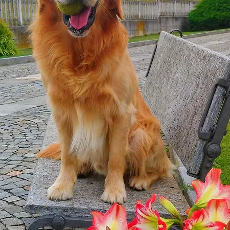 L'isola Dla Cerrea Bed and Breakfast 4*