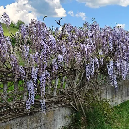 L'isola Dla Cerrea Alojamento de Acomodação e Pequeno-almoço Mombasiglio