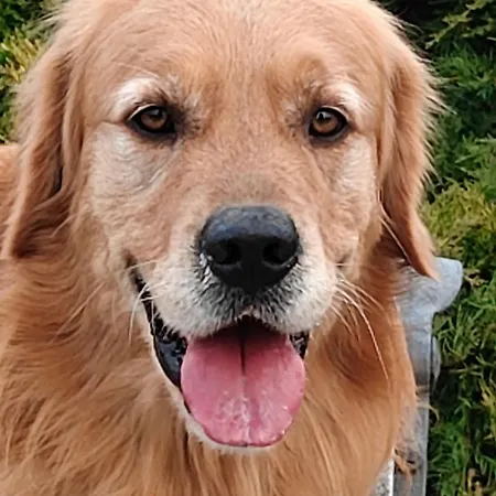 L'isola Dla Cerrea Bed and Breakfast Mombasiglio